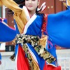 花柳-10