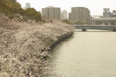 川沿い