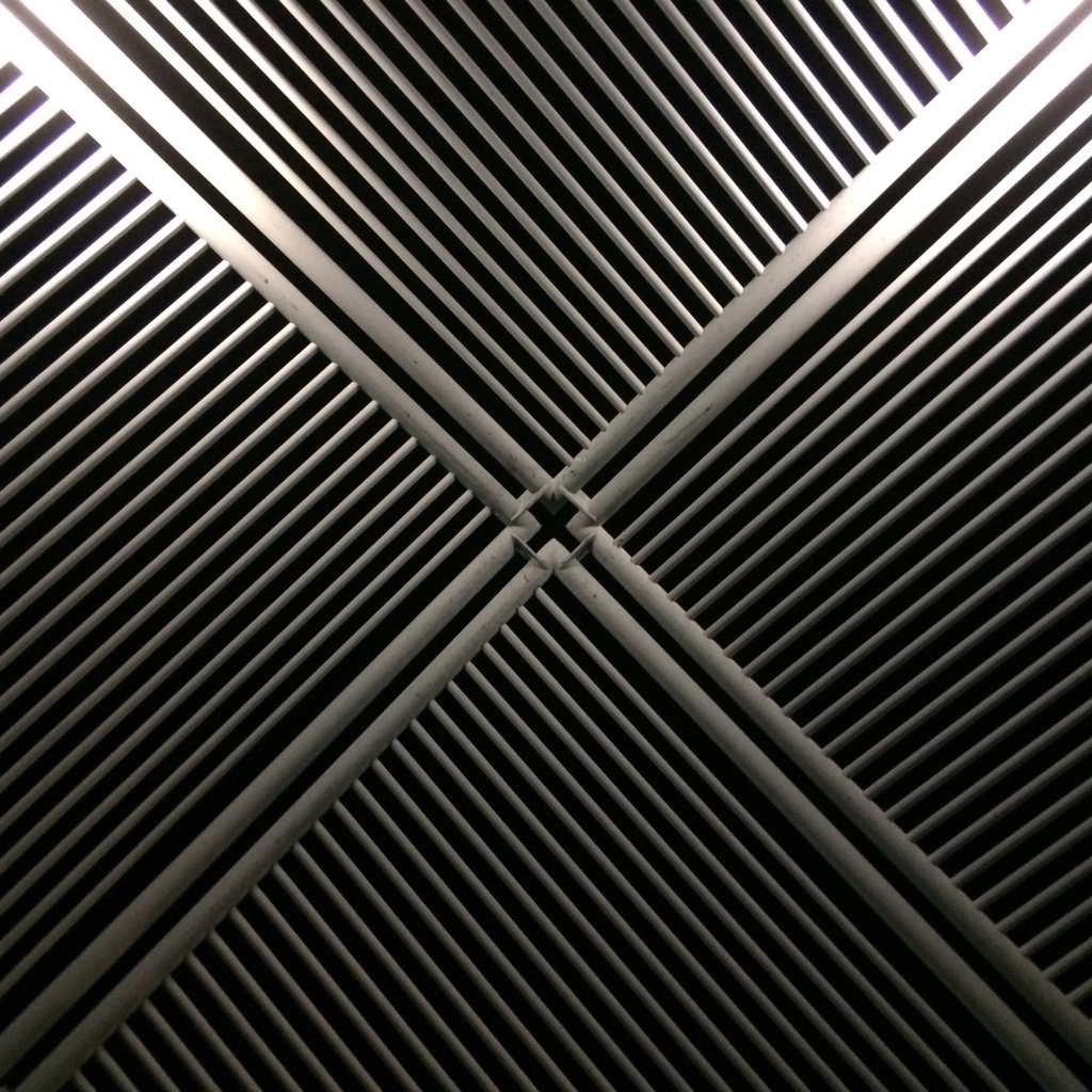 Xx