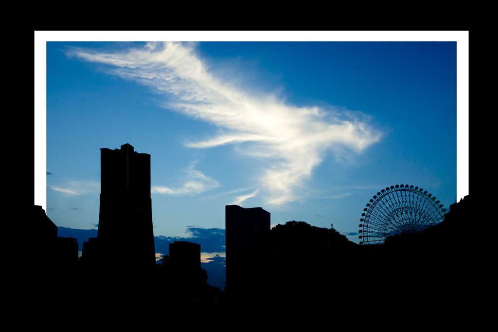 破られた写真