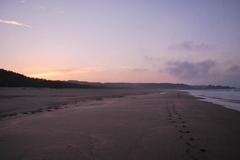 海岸での夕日