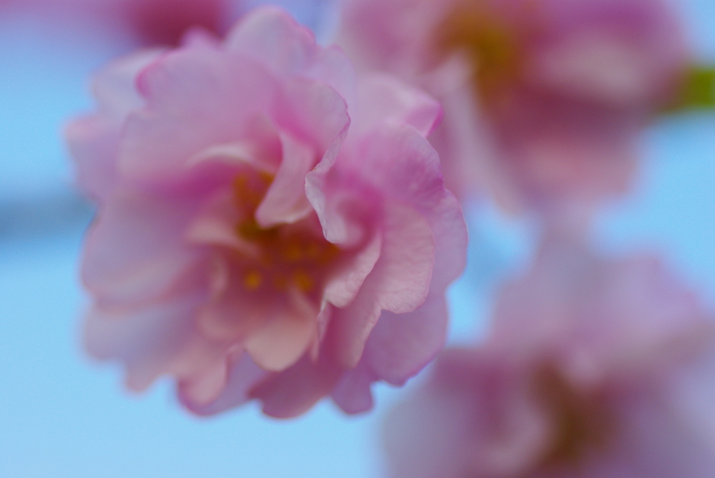 058