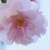 056