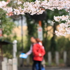 花見waｌk