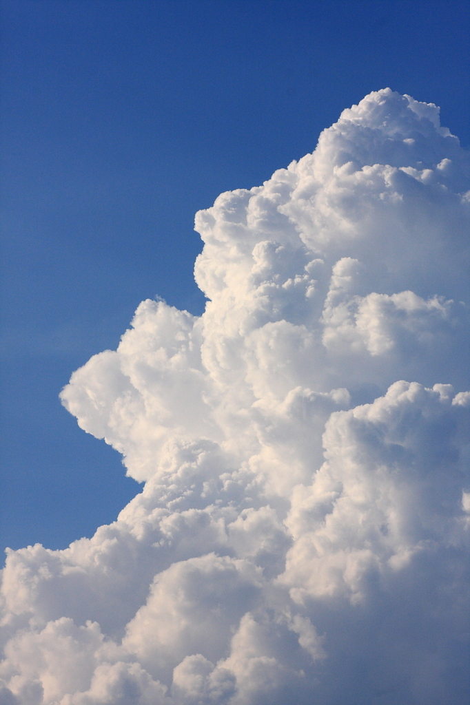 ロイヤリティフリー壁紙 夏 入道雲 最高の花の画像