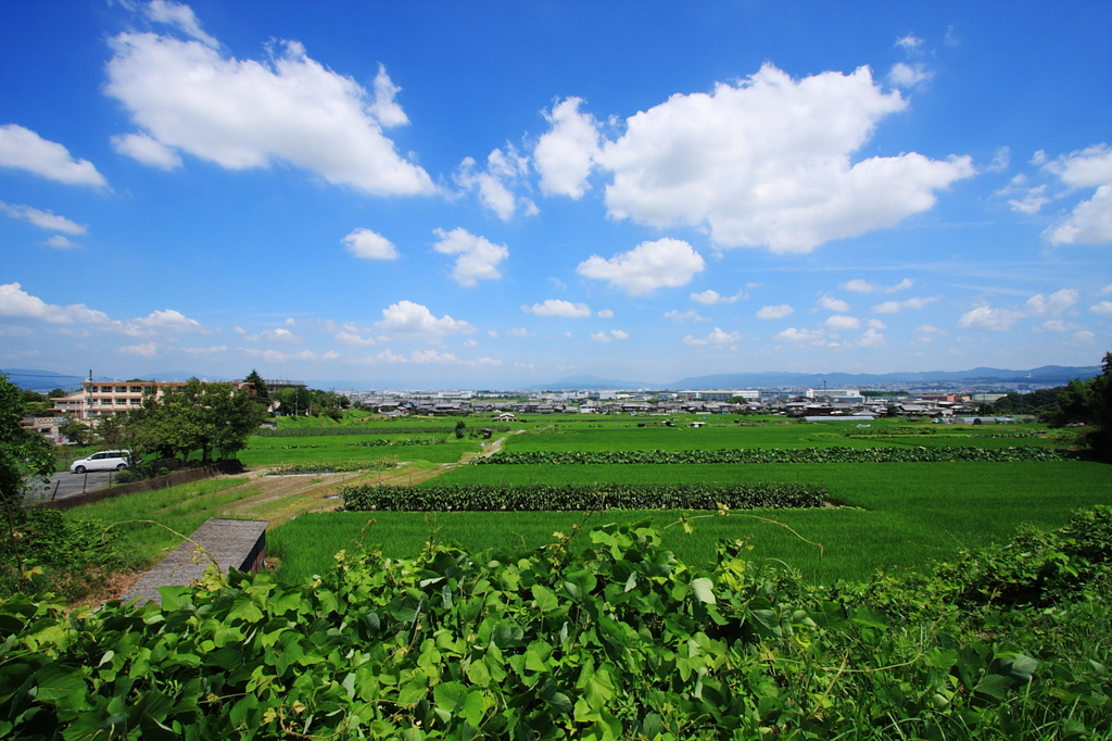 迫り来る雲