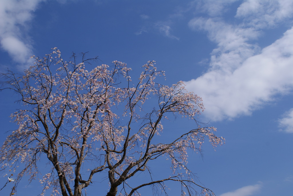 大空