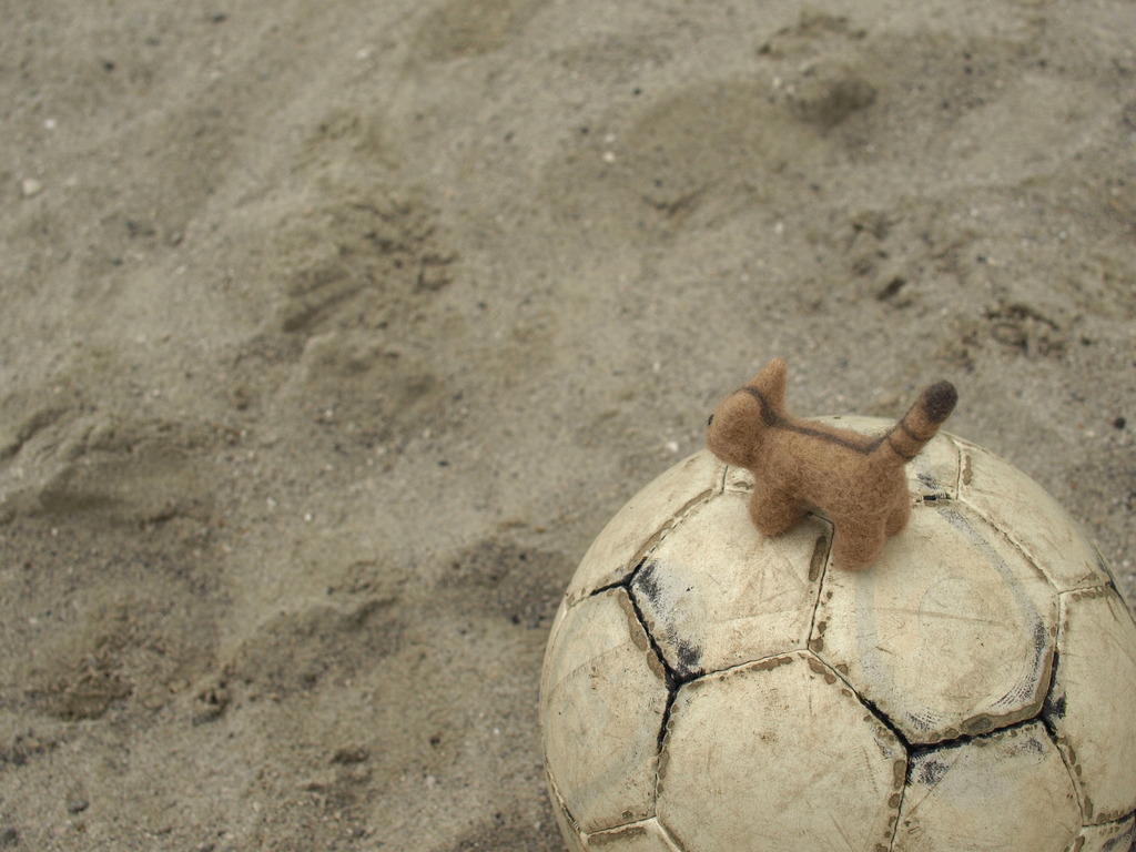 ねえさん、サッカーやろうよ♪