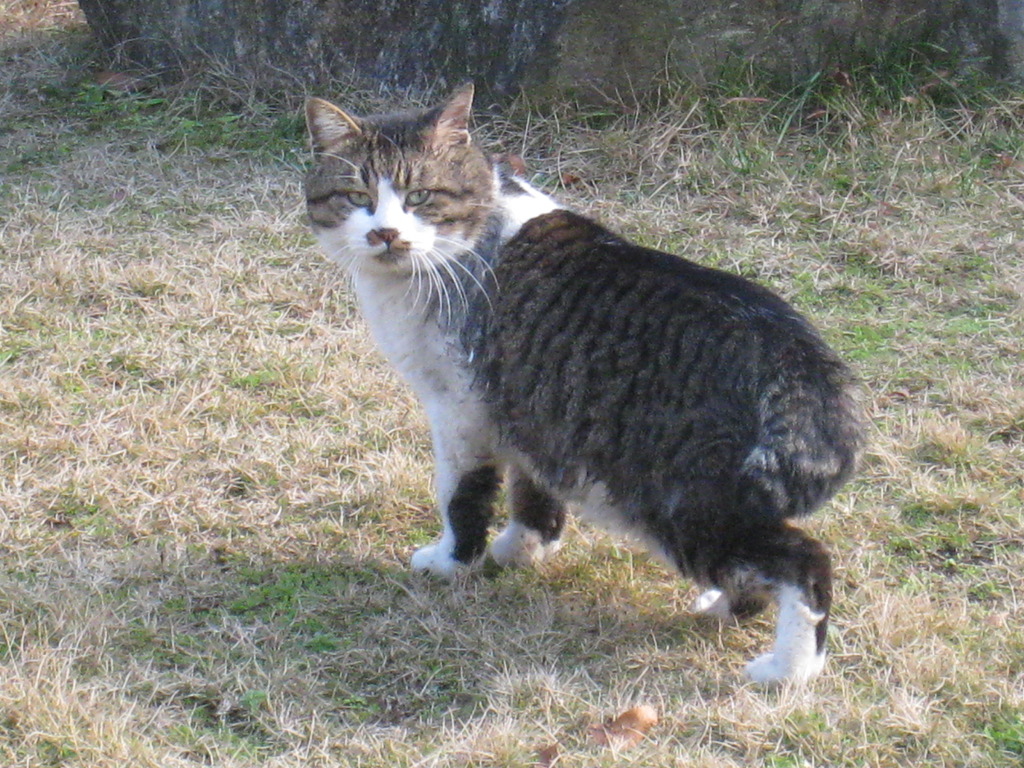 撮ったな