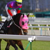 京都競馬場