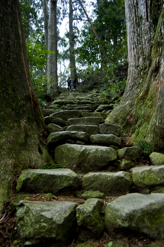 熊野古道の山道