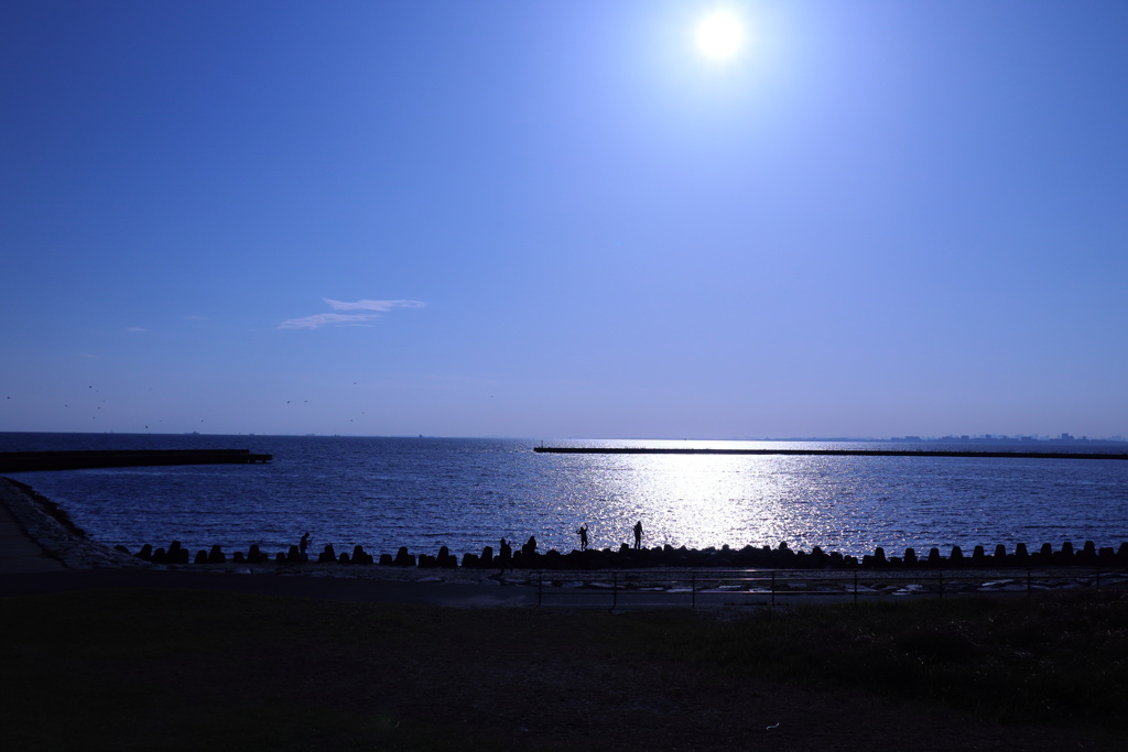 テトラポットの海岸