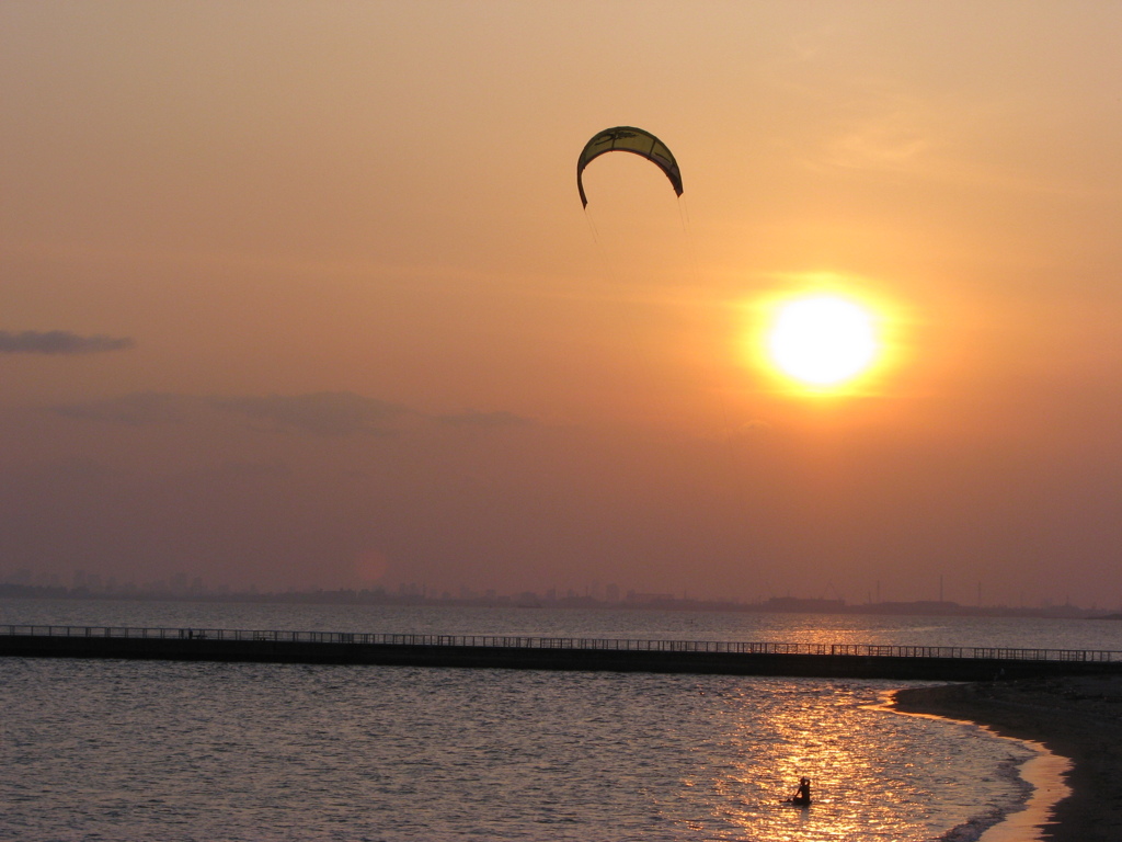 夕陽に飛ぶ