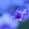 覗く