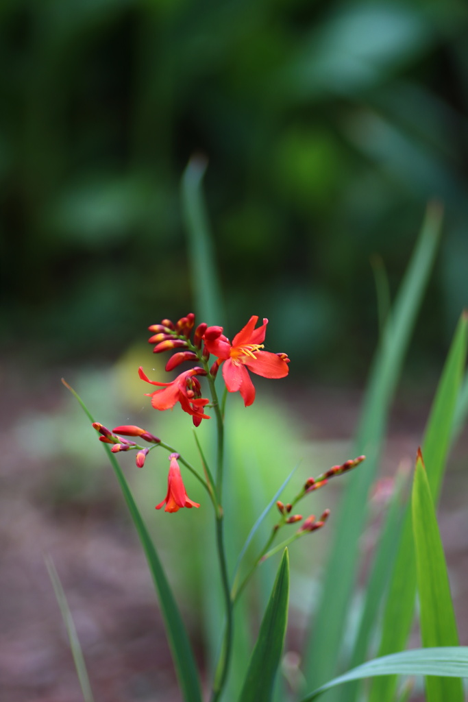 「素敵な思い出」