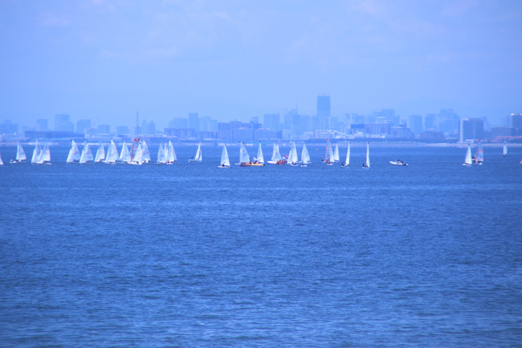 海も混雑1