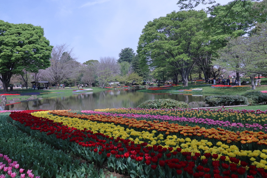 昭和記念公園