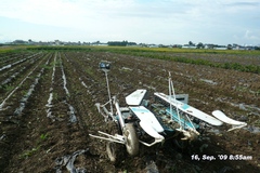 EDAMAME Harvester