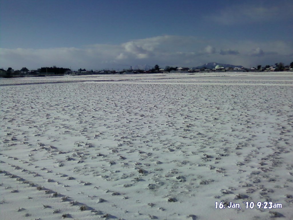 2010年１月１６日