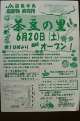 茶豆の里オープン！　　P1100531s