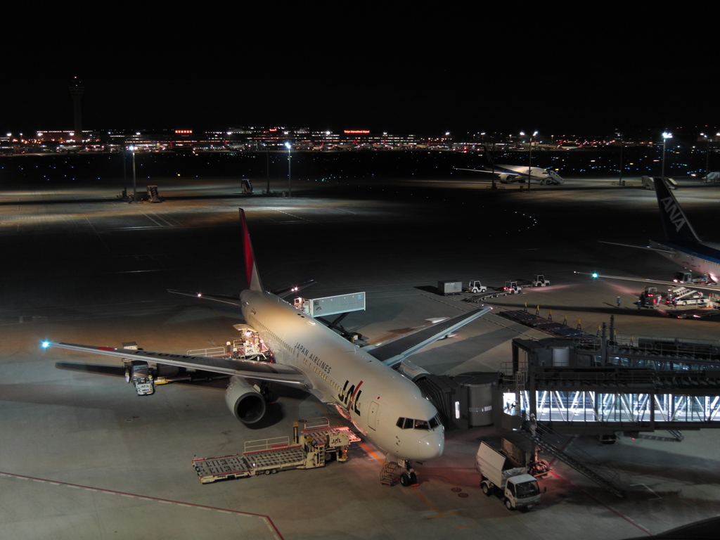 羽田国際空港2