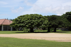 石垣島　白保小学校