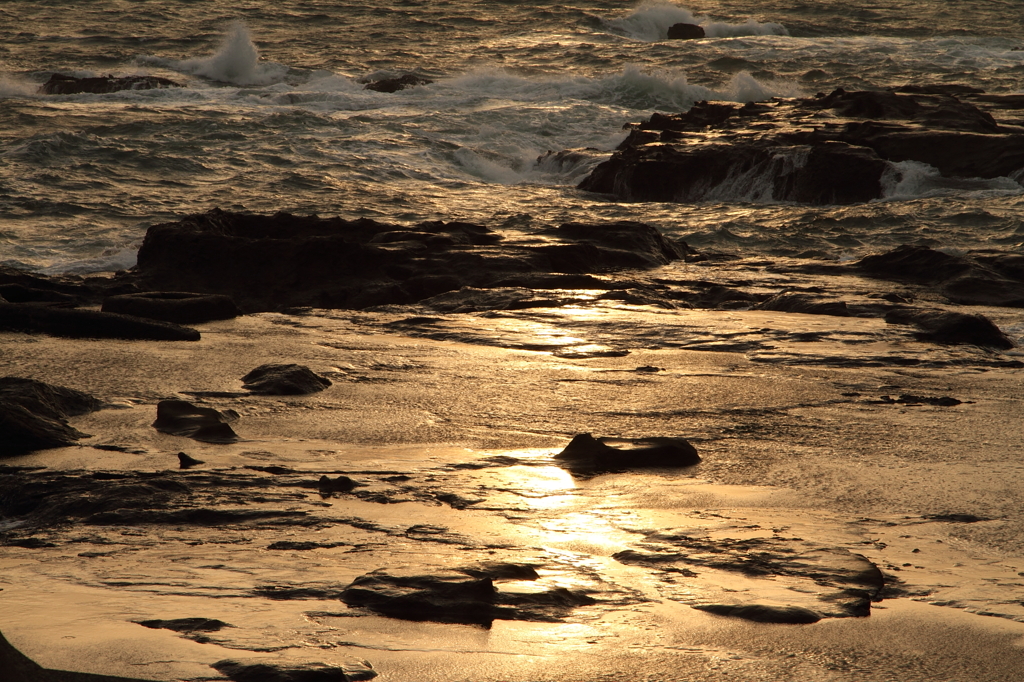 黄金の海