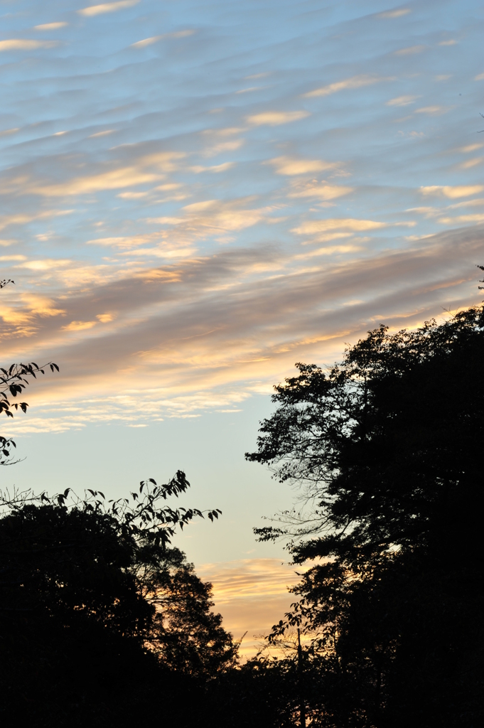 秋の夕空