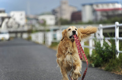 待ってーーー！　汗