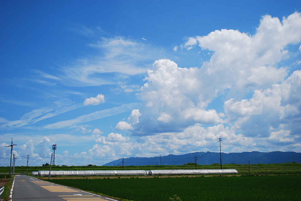 夏雲