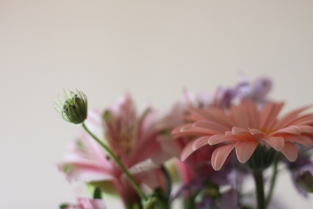 もうすぐ母の日