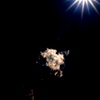 太陽と雲