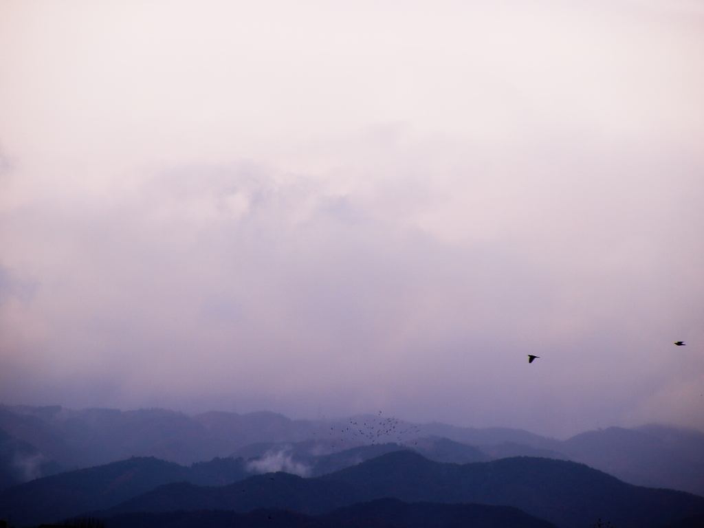 山