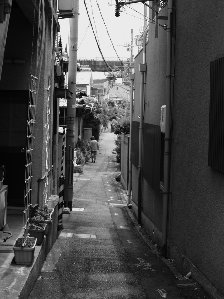 横道