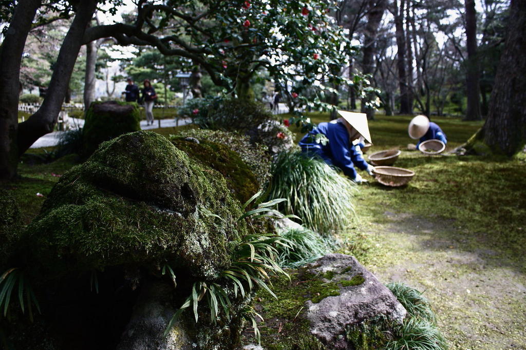 兼六園の昼下がり