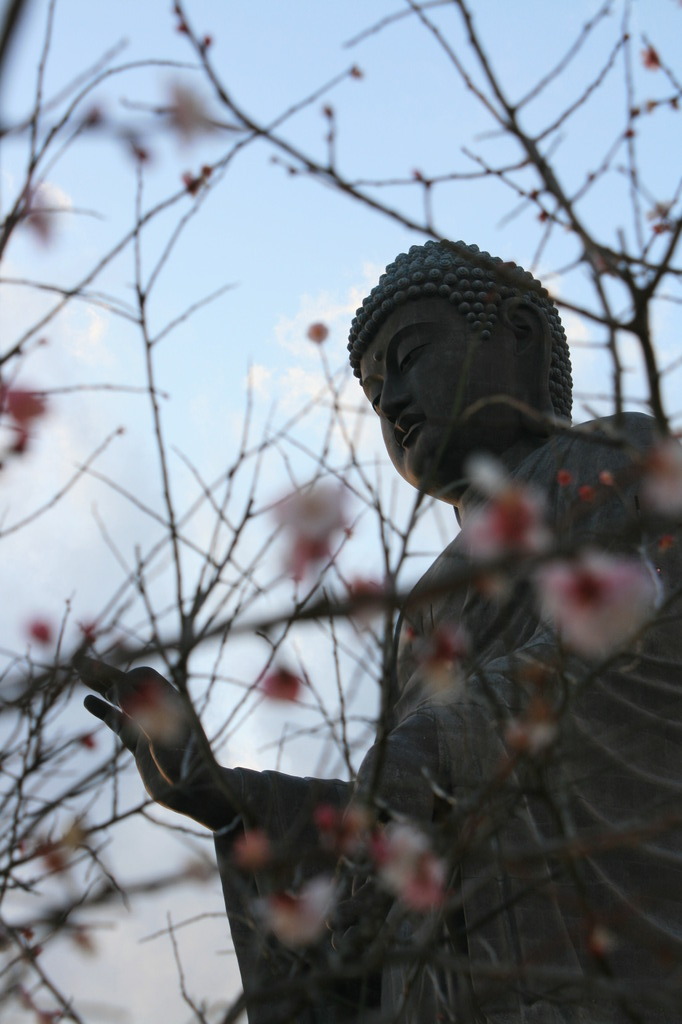 梅と大仏