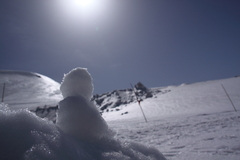 雪だるまの日光浴