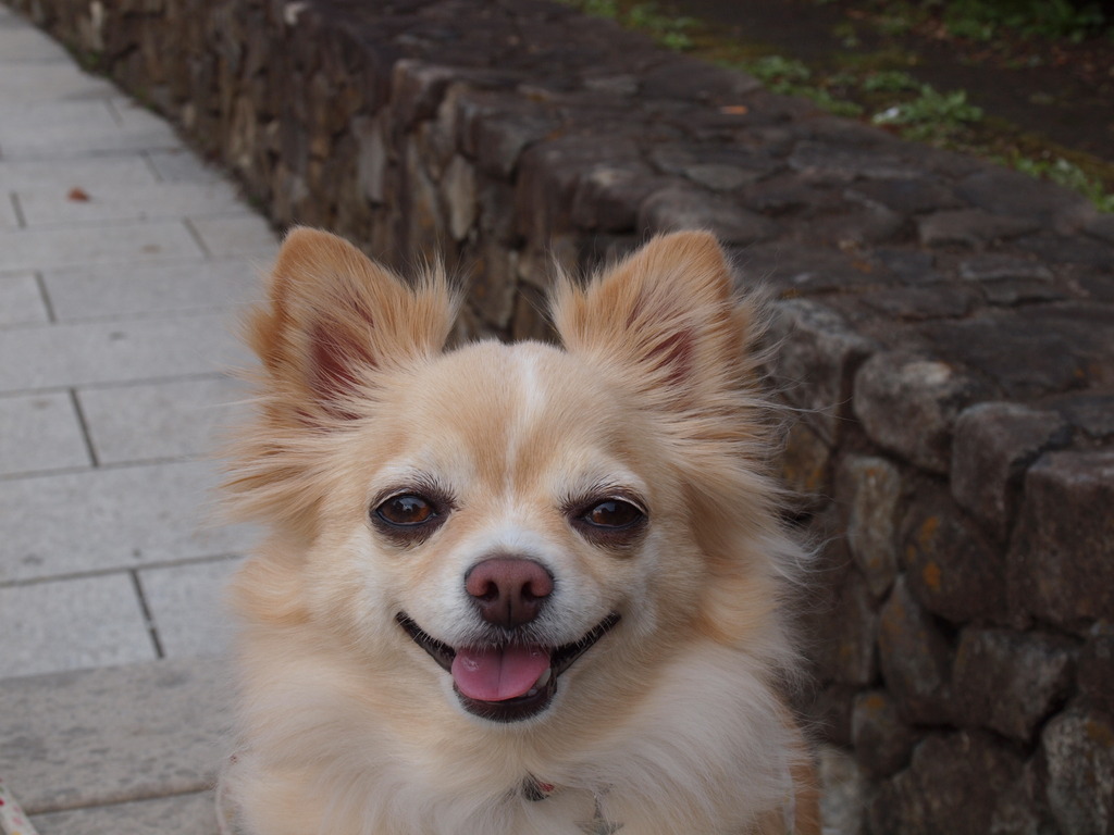 はじめての一枚