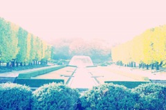 11.11.04 昭和記念公園