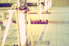11.11.12 DESIGN FESTA