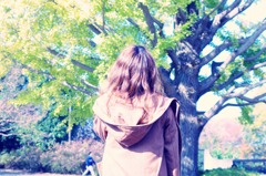 11.11.04 昭和記念公園　★