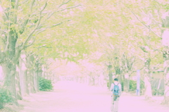 11.11.04 昭和記念公園
