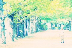 11.11.04 昭和記念公園