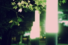 11.11.12 DESIGN FESTA