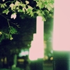 11.11.12 DESIGN FESTA