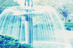 11.11.04 昭和記念公園　★