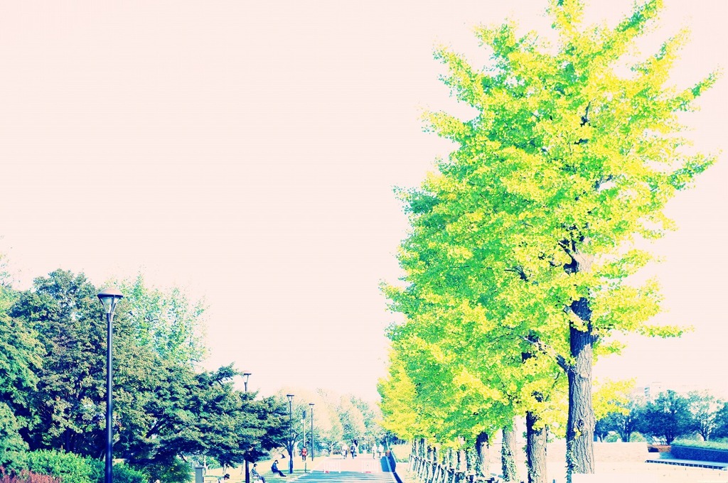 11.11.04 昭和記念公園