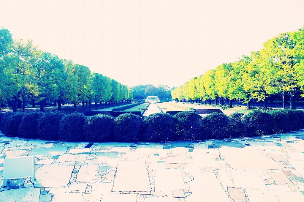 11.11.04 昭和記念公園　★