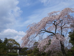 一瞬の晴れ間