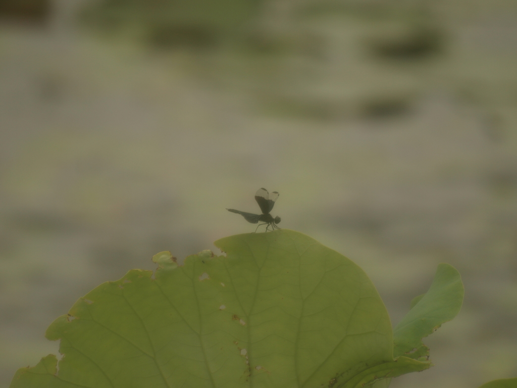 一休み